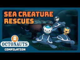 ​@Octonauts  - 🐙 Sea Creature Rescues! 🐙 | 1 Hour+ Full Episodes Marathon