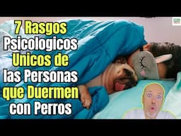 🐶🛌 7 RASGOS PSICOLÓGICOS ÚNICOS DE LAS PERSONAS QUE DUERMEN CON PERROS 🌟💤