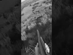 Qué lance a perdiz salvaje