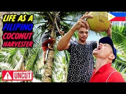Inside the Surreal Life of a Filipino Coconut Harvester 🇵🇭 🌴🥥