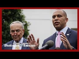 Democratic leaders Schumer and Jeffries on Trump's first 100 days