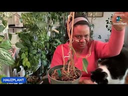 Rescuing Plants From my MOM