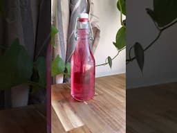 Chive Blossom Vinegar