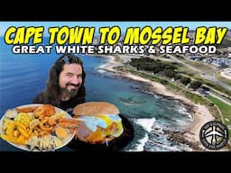 WESTERN CAPE SOUTH AFRICA ROAD TRIP! Spectacular southern coast food tour!