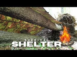 Building a Minimalist Survival Shelter: Survival Instructor Breaks Down the Shelter Build!