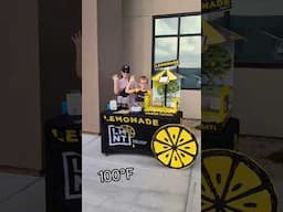 Zero Sugar Lemonade Stand 🍋