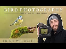 Bird Photography - Morning in my Woodland Hide (Nikon z6ii)(Sigma 150-600mm Contemporary)