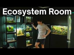 I Turned An Ordinary Room Into An Ecosystem Studio!