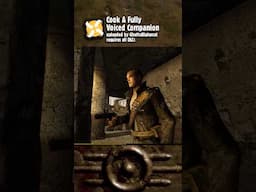Cook, A Voiced Companion Mod for #Fallout New Vegas