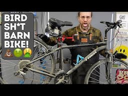 How is this even legal? DISGUSTING neglected TREK Verve hybrid SH*T BIKE REVIVAL! 💩🚲🔧✨
