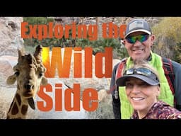 Exploring the Wild Side of the SoCal Desert:  Part 1 of 2