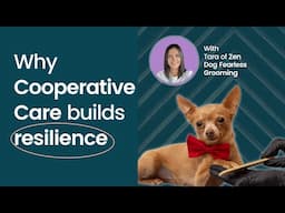 How cooperative care dog training builds resilience (with Tara of Zen Dog Grooming)