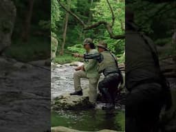 How to Set the Hook When Fly Fishing in a Stream