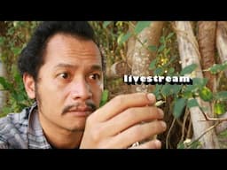 Tambah ga betah nih!