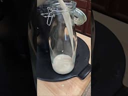 easy plant-based oat milk