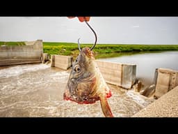 A TRUE RIVER MONSTER Was Beneath This RAGING DAM!!! (Huge Mistake)