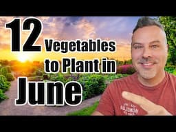 12 Crops to Direct Sow in June, Wherever You Live!