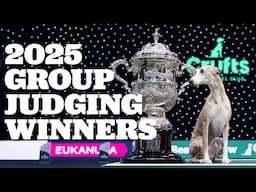 Fiery Jack Russells and Massive Tibetan Mastiffs 🐶 EVERY Crufts 2025 Group Judging Winner