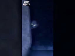 Ghosts Were Watching Them the Whole Time