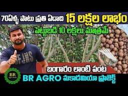 BR AGRO మకాడమియా ప్రాజెక్ట్ | Grow Business with B.R Agro Farms | #moneyfactorytelugu  #macadamia