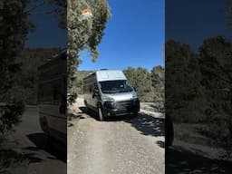 Super High Roof Class B RV #shorts