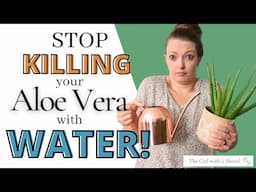 How to Water your Aloe Vera (So it doesn't die!)