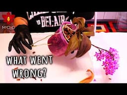 Dehydrated Phalaenopsis Orchid with roots? - Emergency maintenance!