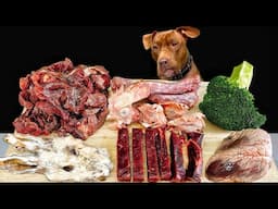 ASMR MUKBANG PITBULL EATING RAW FOODS WHALE RABBIT SKIN HORSE