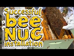 Successful Bee Nuc Installing  and a New Beekeeping Suit