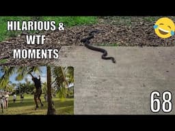 HILARIOUS AND "WTF" MOMENTS IN DISC GOLF COVERAGE - PART 68