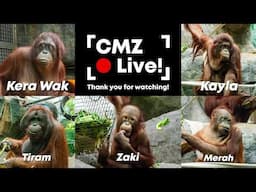 CMZ Live!