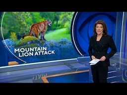 The Astonishing Story Behind the Taylen Brooks Mountain Lion Attack