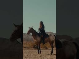 @MotionArrayTutorials has some amazing LUT packs! #videoediting #davinciresolve