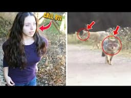 The DISTURBING Last Moments of Taylor Mitchell