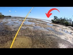 Wade Fishing with No Water