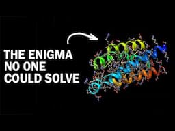 Revolution in Biology: Google's AI Solves a Mystery That Baffled Generations of Scientists
