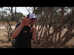 "The Wild Wurz" | ORF Formel 1 2025 Australien GP