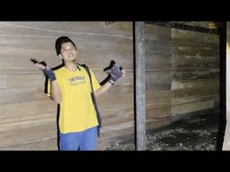 Sharing penyebab utama perkembangan jumlah sarang walet stagnan & perkembangan kurang maximal