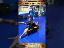 Bjj Guillotina