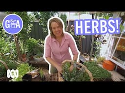 Easy Fresh Herbs! | Growing Fruit and Vegies | Gardening Australia