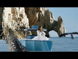 🐋 UP CLOSE WITH GRAY WHALES IN BAJA MEXICO | ONCE-IN-A-LIFETIME ENCOUNTERS! 🐋