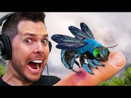 STUNG by a Big Blue Bee (Full Breakdown)