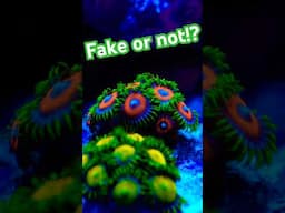 You Won't Believe My First Reef Tank!