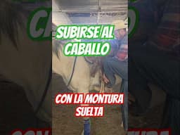 Forma de subirse al caballo sin lastirmalo ¡Es super sencillo!