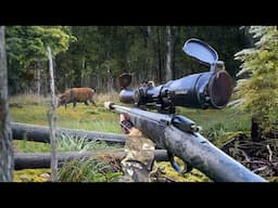 Ambush Hunting Deer in the Wilderness (Solo 8 Day Hunt)