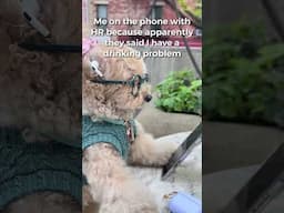 Me on the phone with HR because…. #noodlesthepooch #workhumor #funnyshorts #funnydog