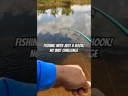 Fishing with Bare Hook! No Bait Challenge