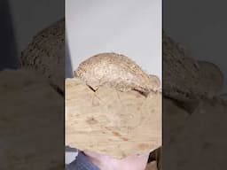 Need a New Wooden Mallet!