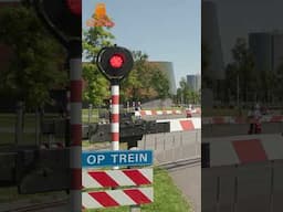 Dutch Railroad crossing - Stoomgroep West