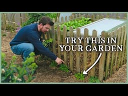 Composting Trick, First Plantings & Pruning Berries | The Kitchen Garden Ep1